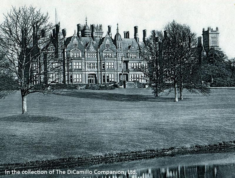 Bearwood (Bear Wood) DiCamillo