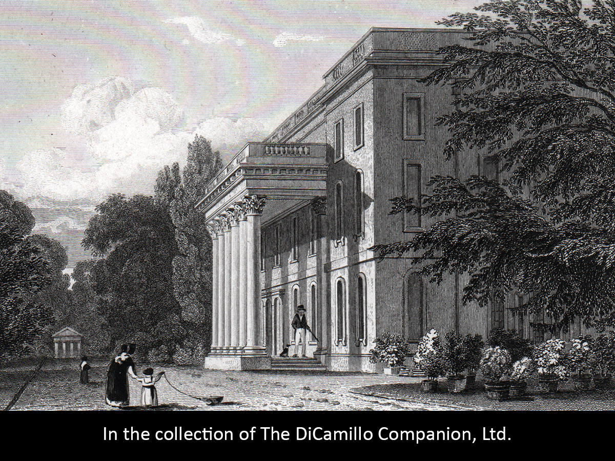 Caversham Park (Caversham Manor) DiCamillo
