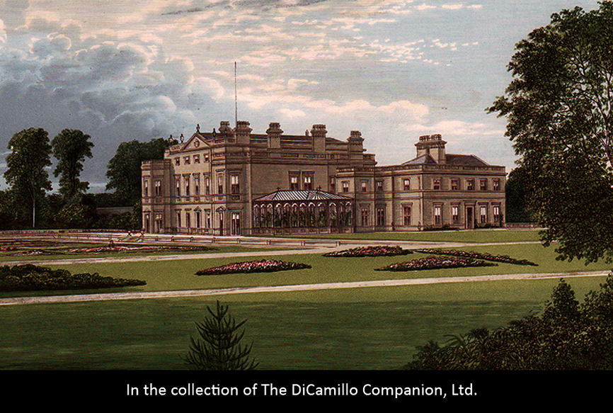 Dalton Hall DiCamillo