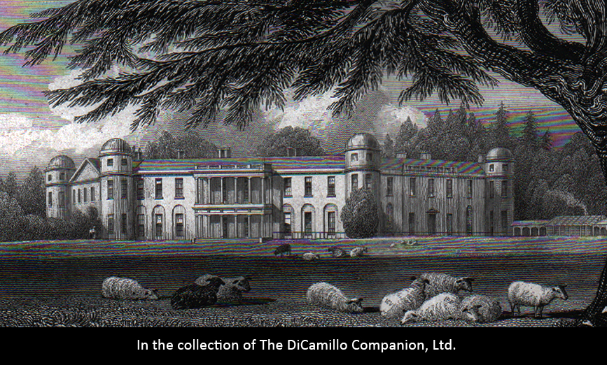 Goodwood House DiCamillo