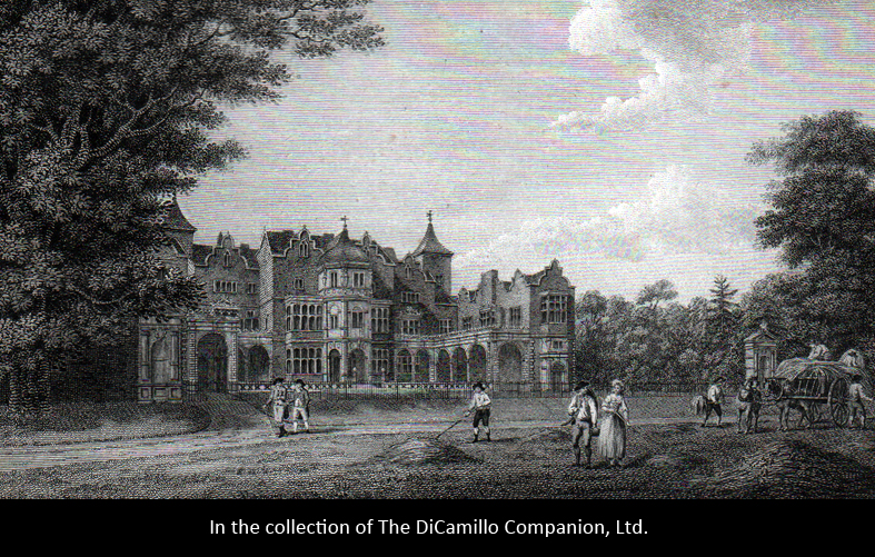 Holland House (Cope Castle) - DiCamillo