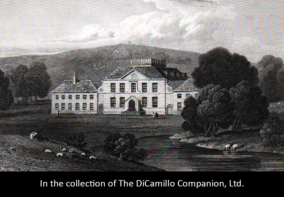 Kidbrooke Park (Kidbrook Park) DiCamillo