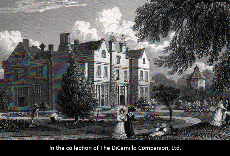 Kings Walden Bury (King's Walden) DiCamillo