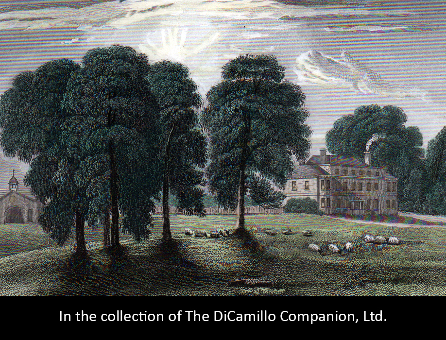 Longworth Hall (Langworth Hall) DiCamillo