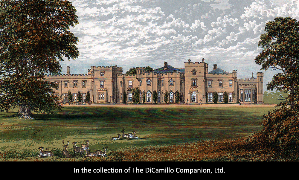 Panshanger Park DiCamillo