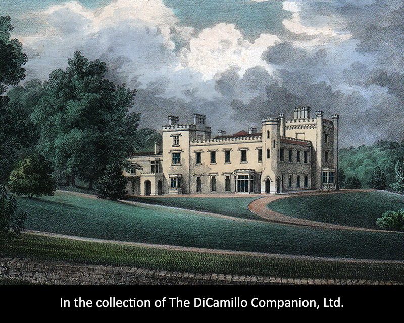 Rotherfield Park DiCamillo