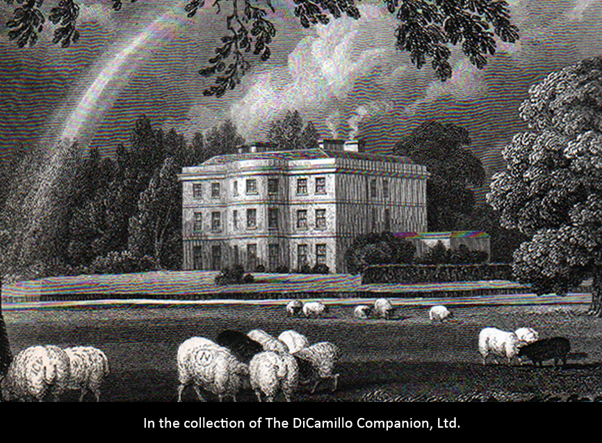 Wanstead Grove DiCamillo