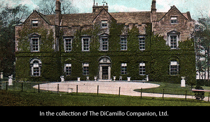 Stella Hall (Stellinglei) DiCamillo