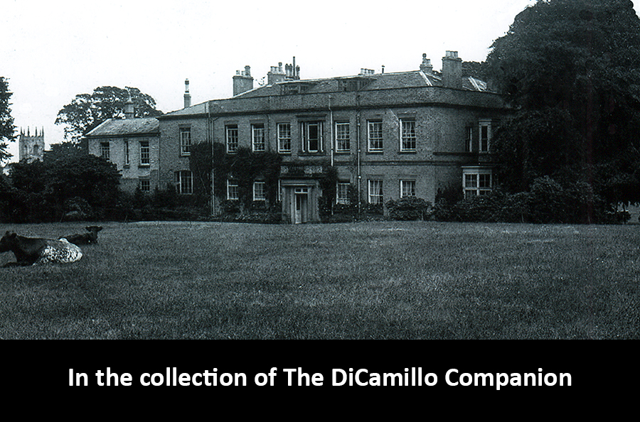 Kirk Ella Hall DiCamillo