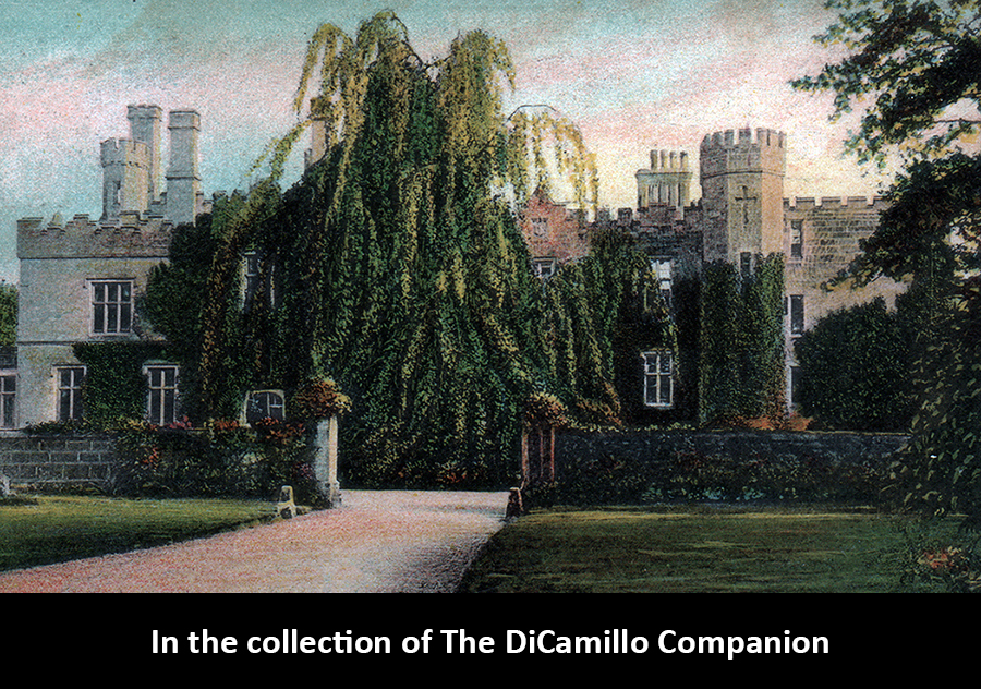 Wadhurst Park (Wadhurst Castle) DiCamillo