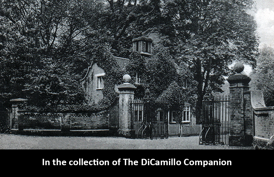 Balls Park DiCamillo