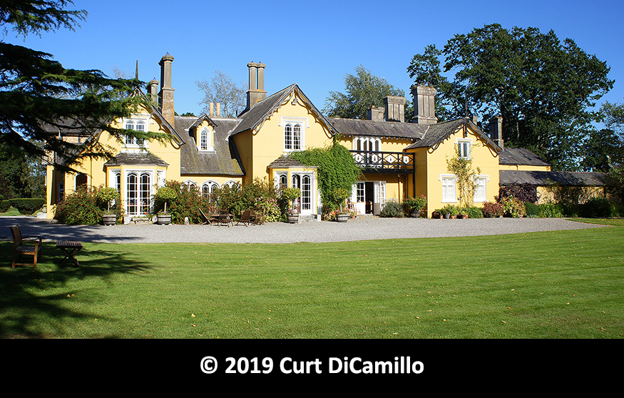 Martinstown House DiCamillo