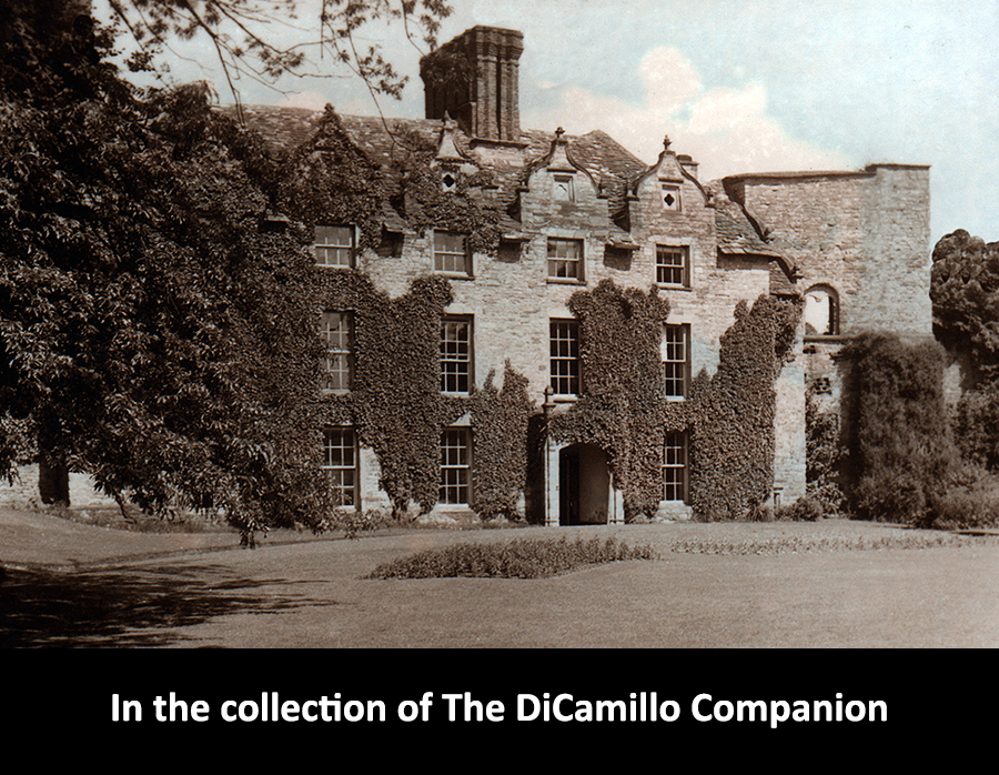 Hay Castle (Hay Castle House) DiCamillo