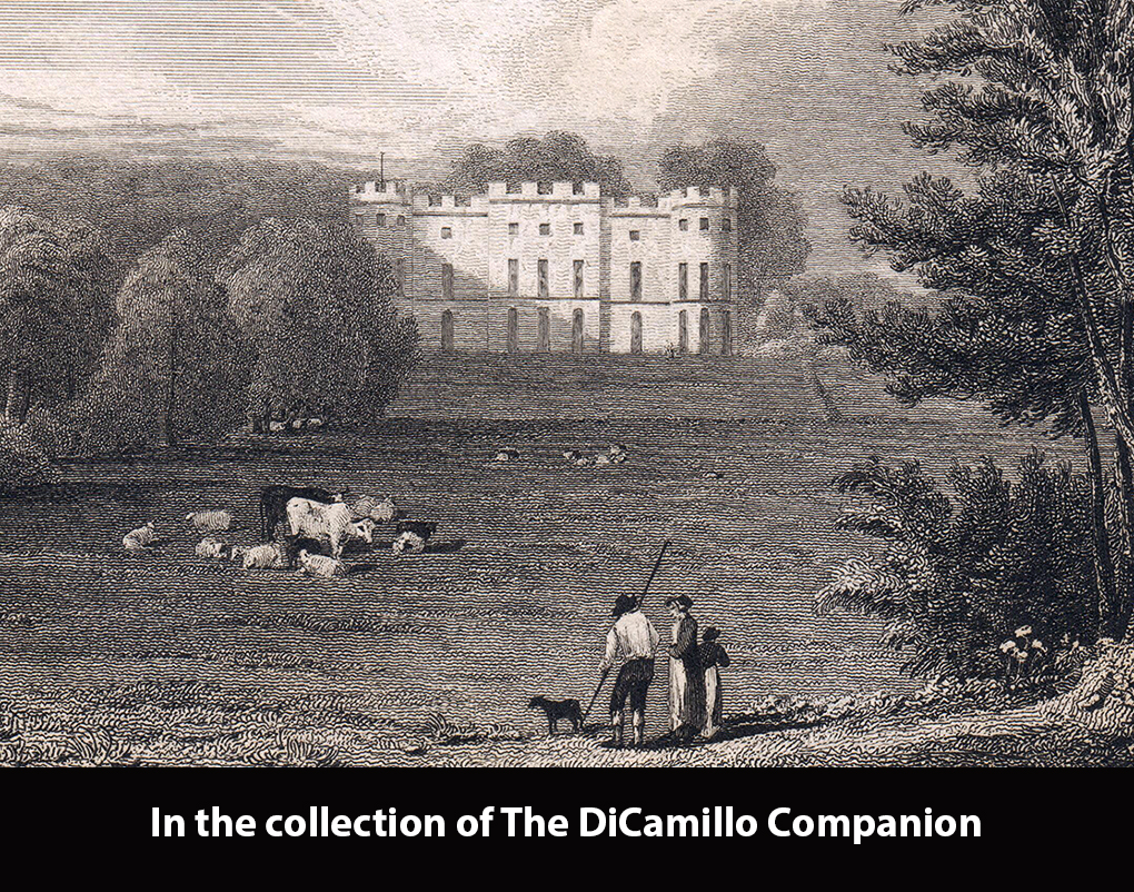 Gnoll House (Gnoll Castle) DiCamillo