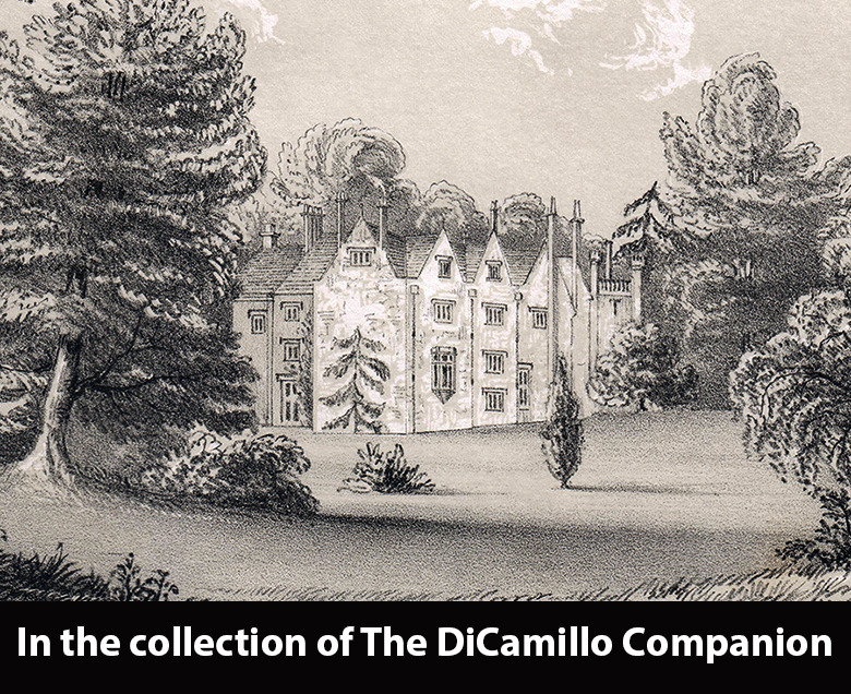 St. Piere Park (St. Pierre Park) DiCamillo