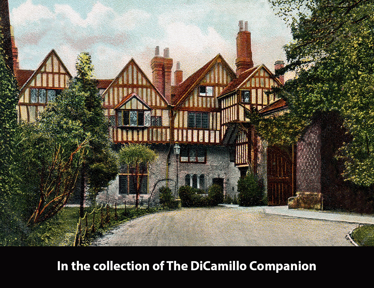 Cheney Court DiCamillo