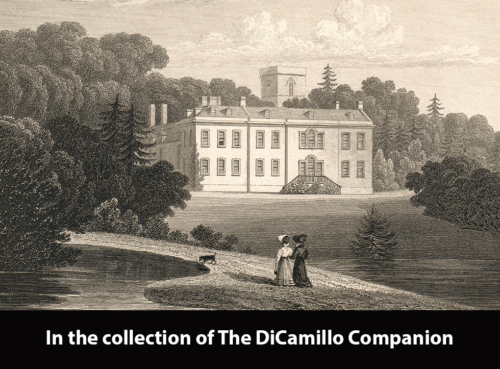 Welton Place DiCamillo