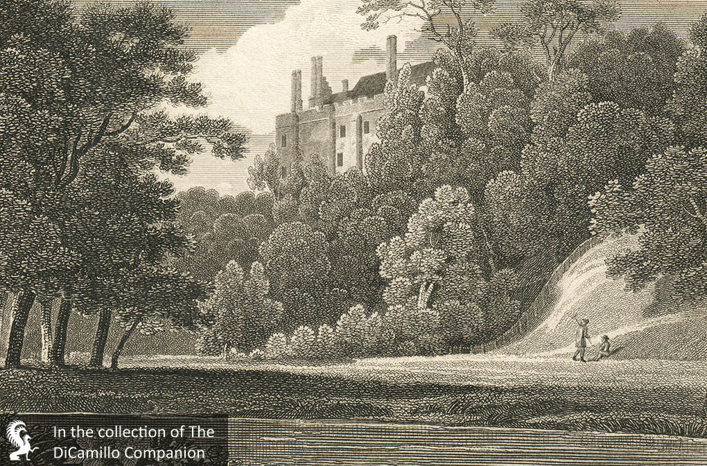 Betchworth Castle (Betchworth Park) (Beechworth Castle) DiCamillo