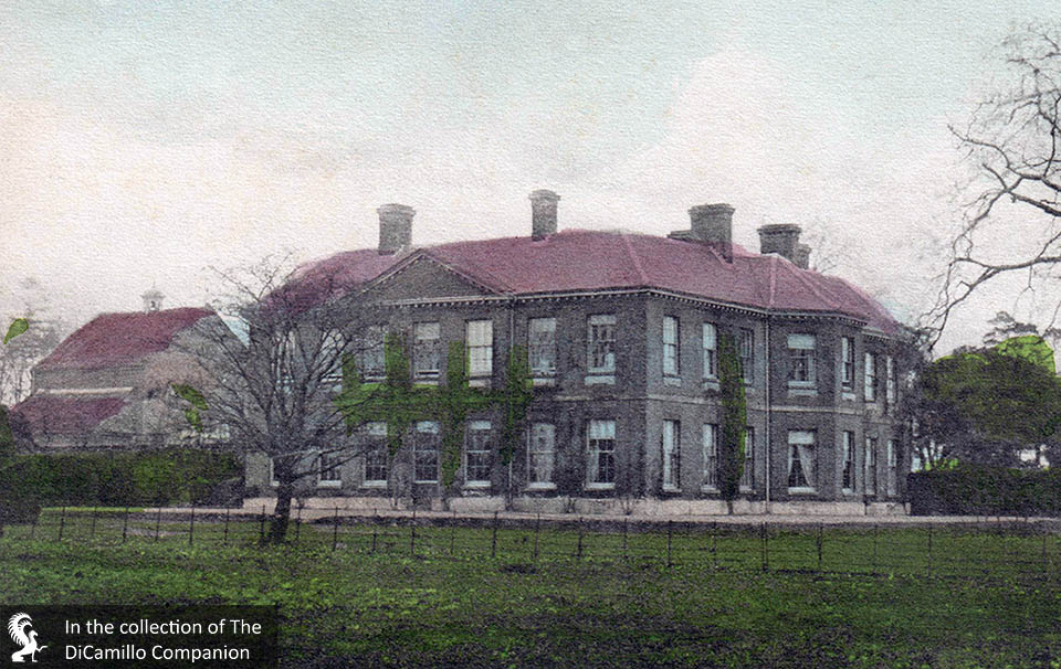 Barton Hall DiCamillo