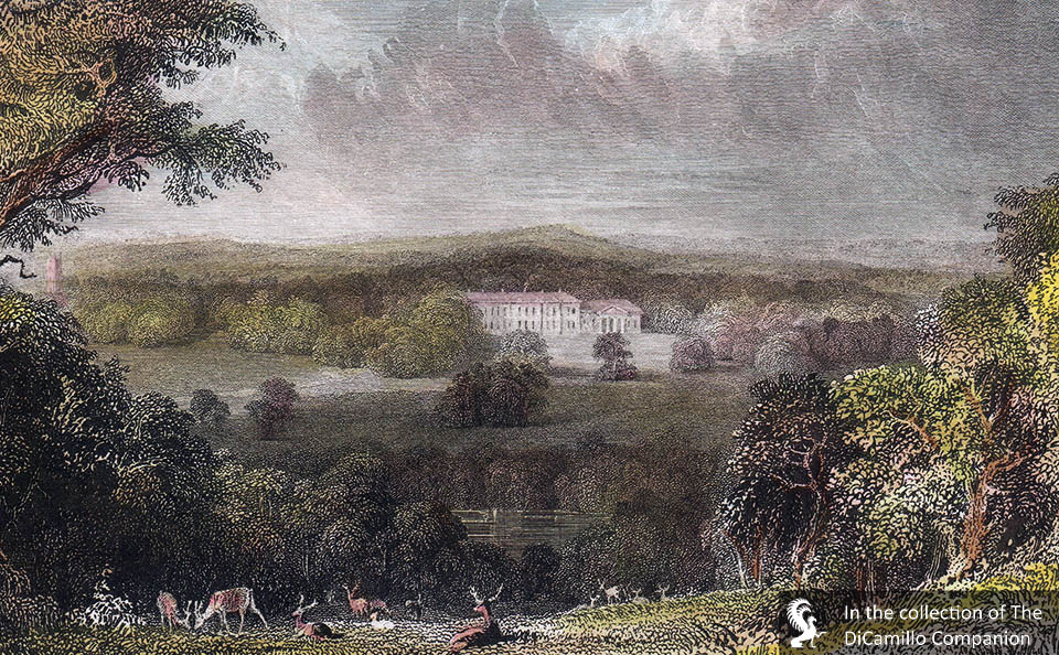 Werrington Park DiCamillo