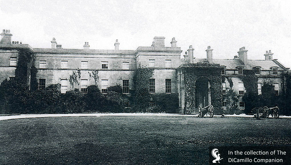 Stackpole Court - DiCamillo