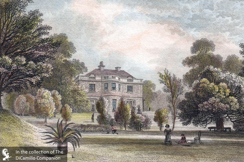 House (East Combe House) DiCamillo