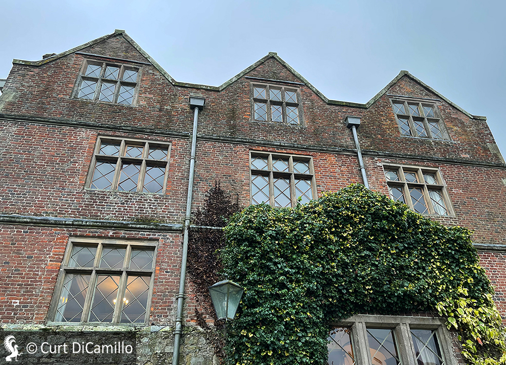 Acton scott hall dicamillo