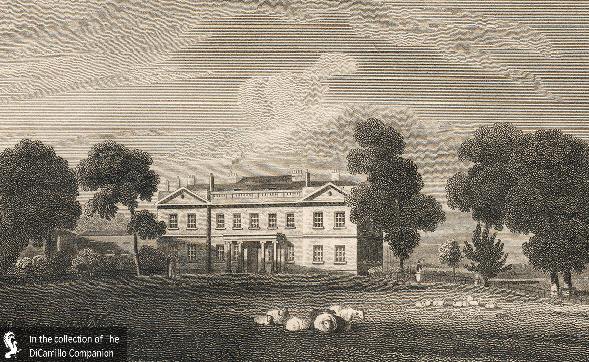 Stanmore House (Stanmore Park) (Stanmore Park Mansion) DiCamillo