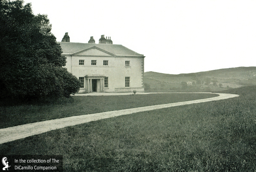 Avondale House DiCamillo